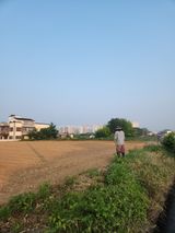 팜모닝 콩·영농일지 게시글 이미지