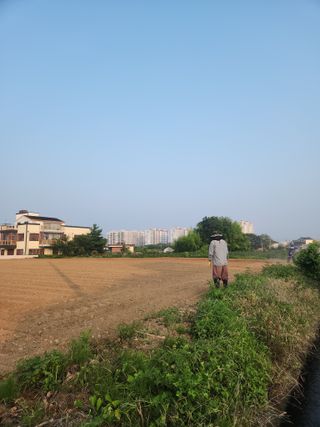 하나일님의 콩 · 영농일지 작성글 사진