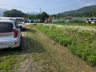 땍은이님의 블루베리 · 영농일지 작성글 사진