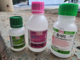 태추단감님의 작성글 사진