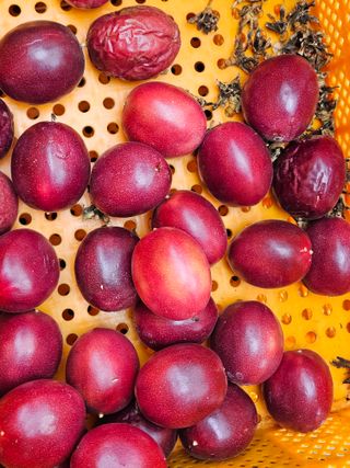 박미라님의 기타작물 · 영농일지 작성글 사진