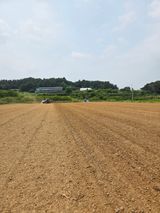 팜모닝 콩·영농일지 게시글 이미지