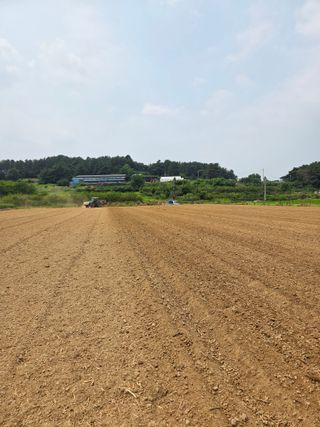 장군농산장창민님의 콩 · 영농일지 작성글 사진