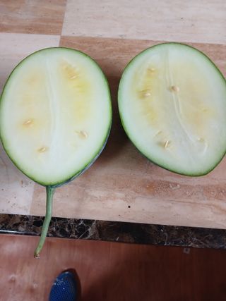 황금비님의 기타작물 · 영농일지 작성글 사진