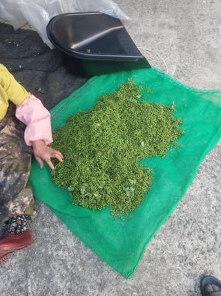 섬진강님의 기타작물 · 영농일지 작성글 사진