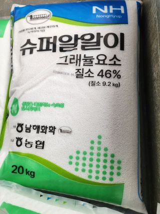 별빛나그네화성님의 벼 · 영농일지 작성글 사진