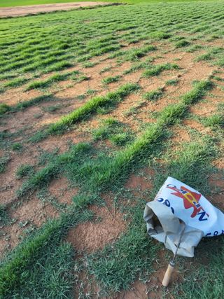 최유순님의 기타작물 · 영농일지 작성글 사진