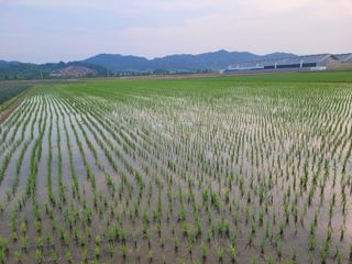 김춘성님의 기타작물 · 영농일지 작성글 사진