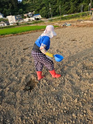 박원봉님의 호박 · 영농일지 작성글 사진