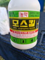 팜모닝 고추·영농일지 게시글 이미지