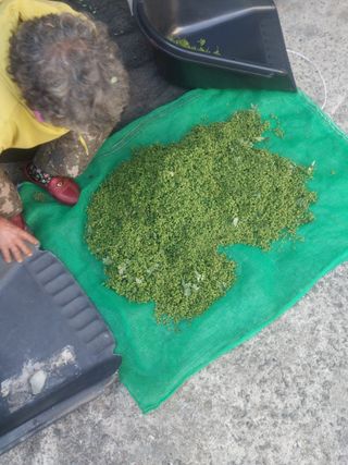 섬진강님의 기타작물 · 영농일지 작성글 사진