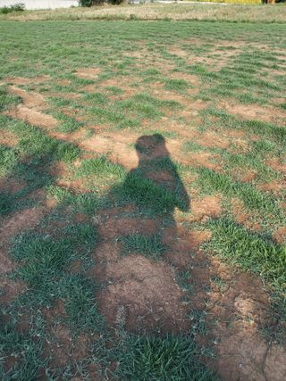 최유순님의 기타작물 · 영농일지 작성글 사진