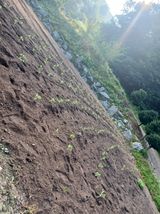 팜모닝 기타작물·영농일지 게시글 이미지