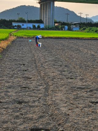 박원봉님의 호박 · 영농일지 작성글 사진