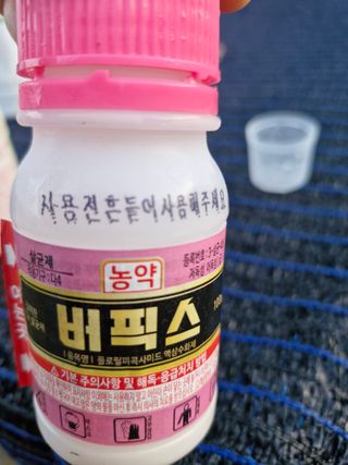 영평골님의 고추 · 영농일지 작성글 사진