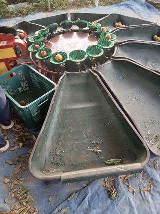 성재엄마님의 기타작물 · 영농일지 작성글 사진