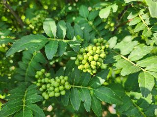 김재현님의 기타작물 · 영농일지 작성글 사진