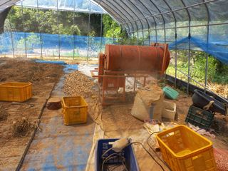 박린님의 마늘 · 영농일지 작성글 사진