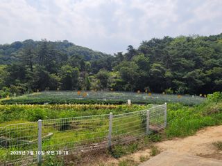 이동훈님의 기타작물 · 영농일지 작성글 사진