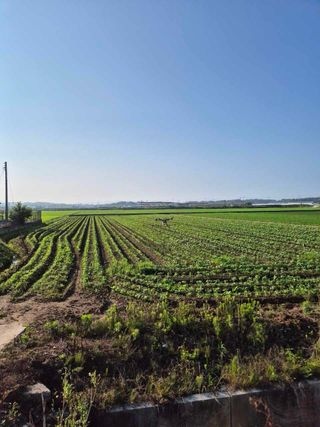 오성균님의 콩 · 영농일지 작성글 사진