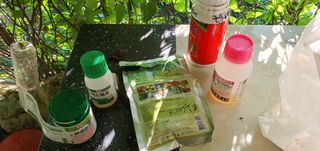 경북문경 이종혁님의 고추 · 영농일지 작성글 사진