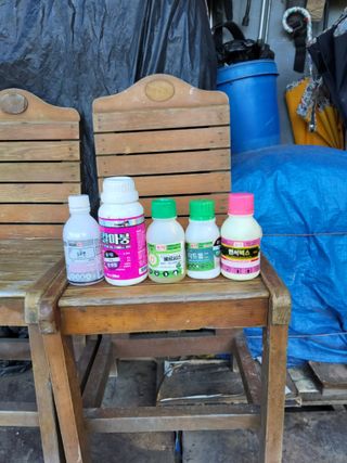 김성열님의 고추 · 영농일지 작성글 사진