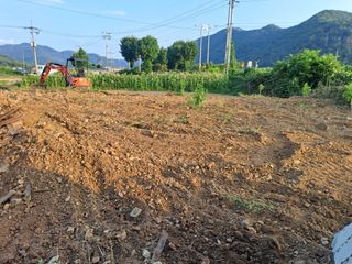 손정식님의 복숭아 · 영농일지 작성글 사진