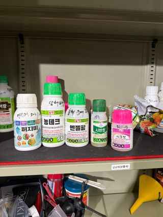 김지환님의 고추 · 영농일지 작성글 사진