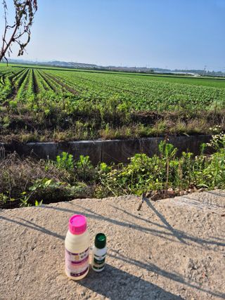 오성균님의 콩 · 영농일지 작성글 사진