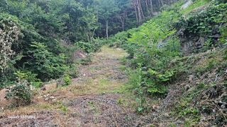 염봉섭님의 기타작물 · 영농일지 작성글 사진