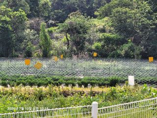 이동훈님의 기타작물 · 영농일지 작성글 사진