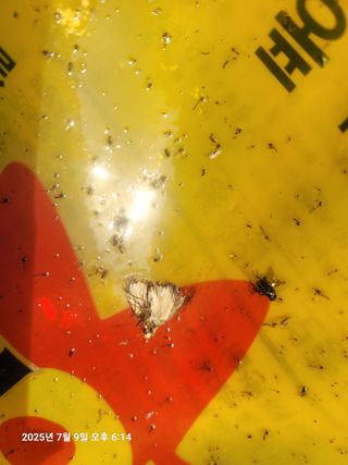 이동훈님의 기타작물 · 영농일지 작성글 사진