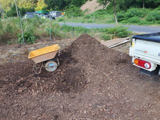 박광현님의 블루베리 · 영농일지 작성글 사진
