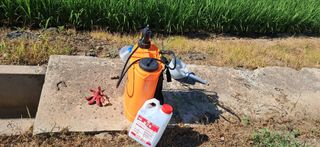 이복길님의 벼 · 영농일지 작성글 사진