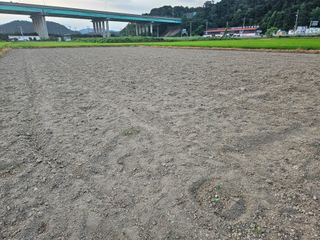 박원봉님의 호박 · 영농일지 작성글 사진