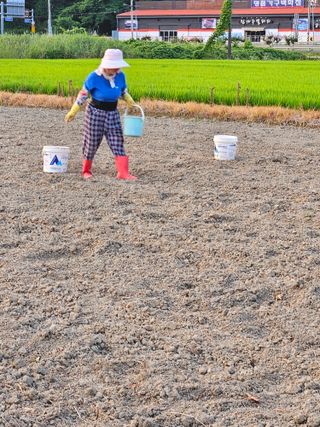 박원봉님의 호박 · 영농일지 작성글 사진