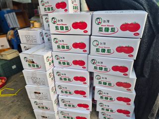 늘햇살팜 님의 기타작물 · 영농일지 작성글 사진