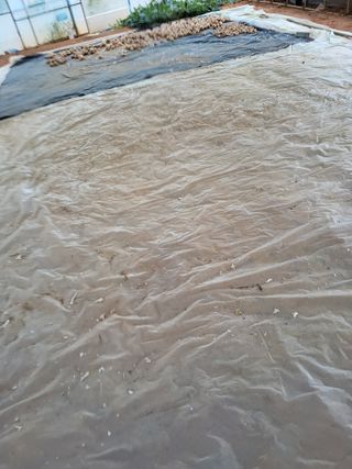 최유순님의 기타작물 · 영농일지 작성글 사진