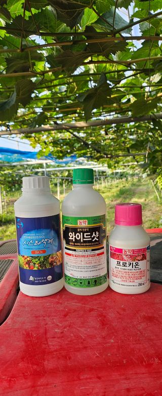 대파13439님의 기타작물 · 영농일지 작성글 사진