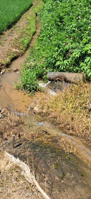 이복길님의 벼 · 영농일지 작성글 사진