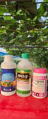 팜모닝 기타작물·영농일지 게시글 이미지