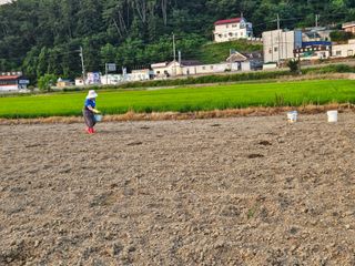 박원봉님의 호박 · 영농일지 작성글 사진