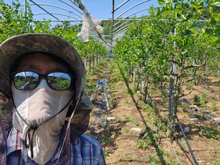 산들농장(화성)님의 기타작물 · 영농일지 작성글 사진