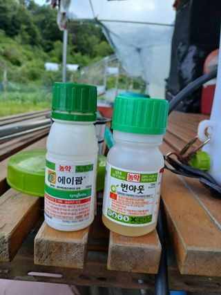 김성구님의 고추 · 영농일지 작성글 사진