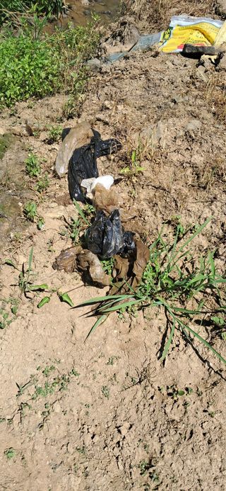 이복길님의 벼 · 영농일지 작성글 사진