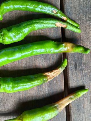 맞춤포도 드론방제님의 고추 · 영농일지 작성글 사진