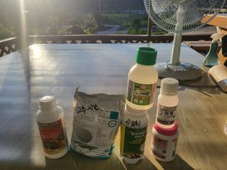 이상욱님의 고추 · 영농일지 작성글 사진