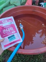 팜모닝 마늘·영농일지 게시글 이미지