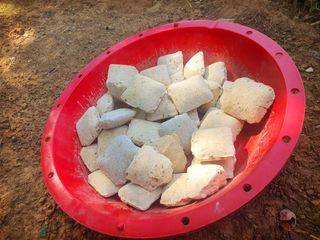 오이8898황산면님의 고추 · 영농일지 작성글 사진