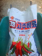 팜모닝 고추·영농일지 게시글 이미지